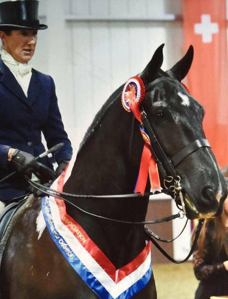 Total Impact Slip Head Double Converter