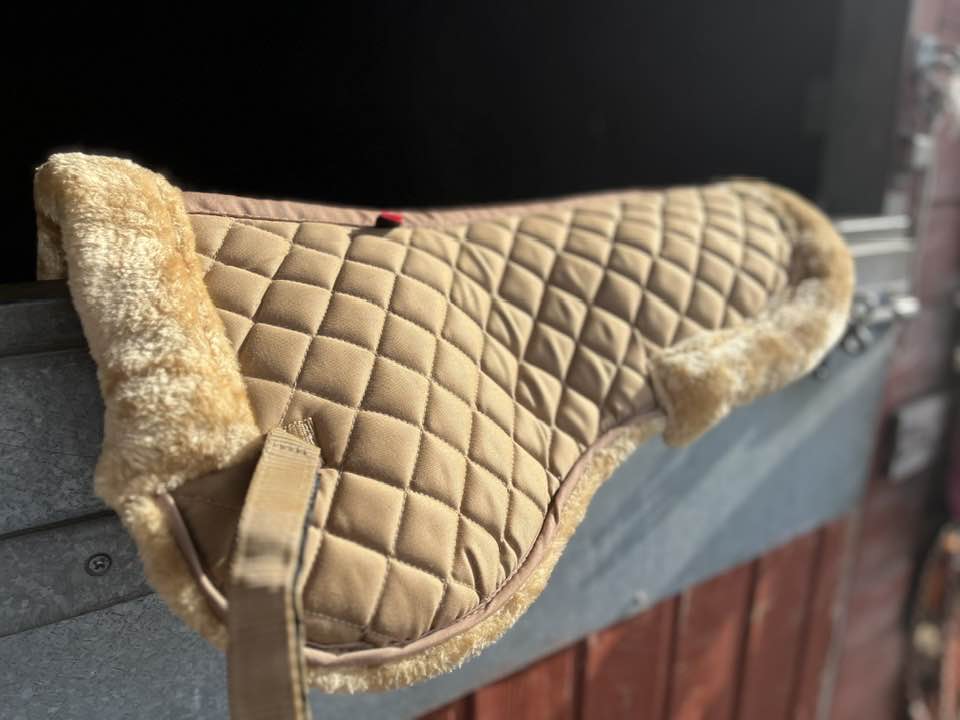 Everyday Champagne Half Pad Limited Edition