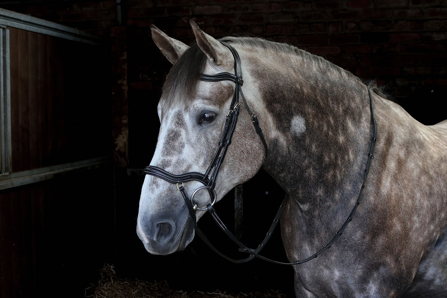 WHITAKER STOCKHOLM ANATOMIC BRIDLE